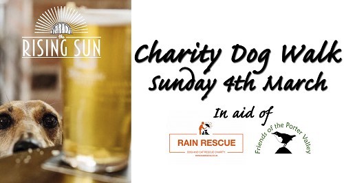 Charity Dog Walk Image